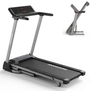 bqgashta pateka horizon fitness t r01