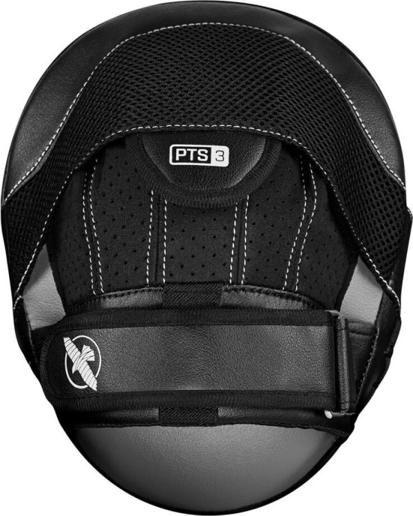 hayabusa pts3 micro back