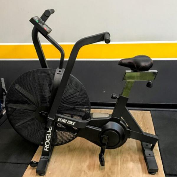 Ревю на Rogue Echo Bike